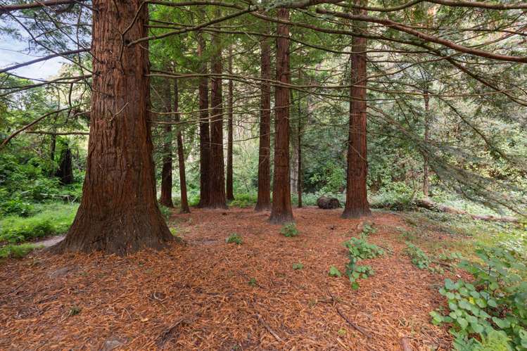 177 Forest Hill Road Aokautere_33