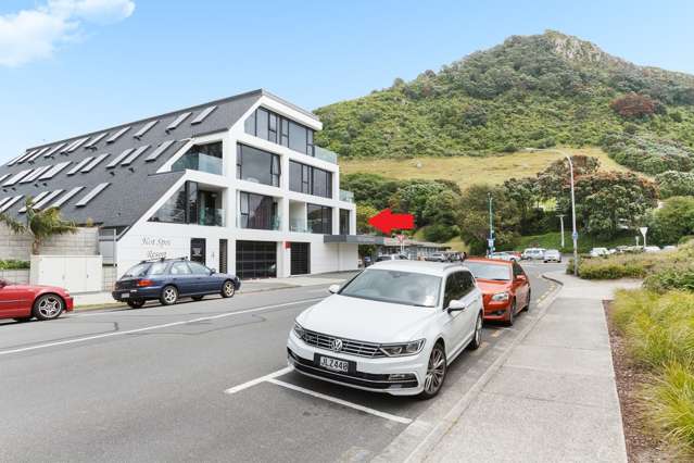 201/16 Adams Avenue Mount Maunganui_1