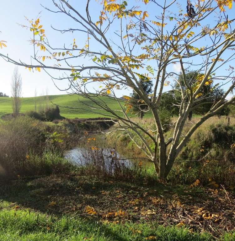 Waitomo Caves Road Waitomo_14