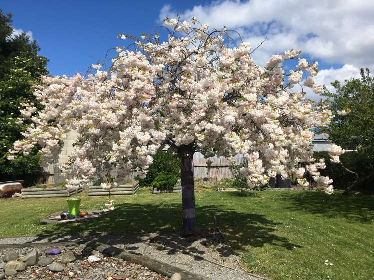 23 Witham Street Oamaru_24