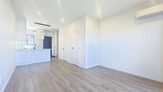 47 Kiato Lane Flat Bush_4