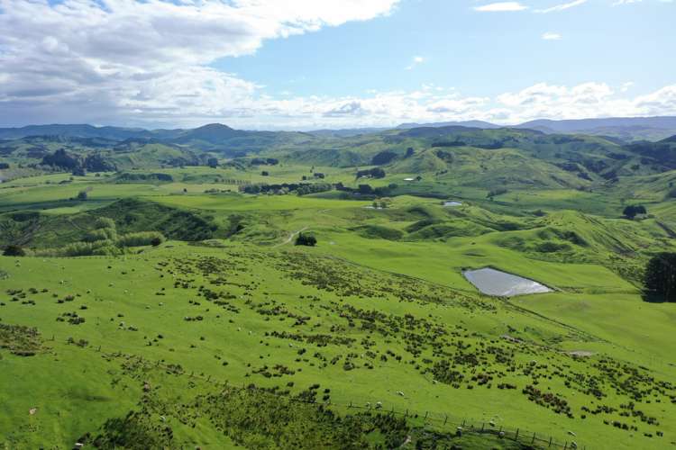 188 Waikakahi Road Pongaroa_9