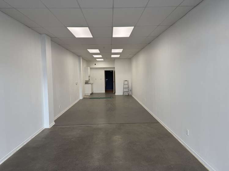Ground/40 Jervois Road Ponsonby_6