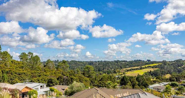 9/11 Hatfield Place Albany Heights_17