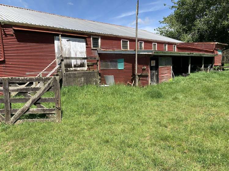 2896 State Highway 3 Awakino_38