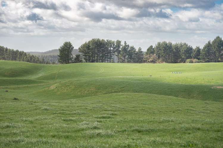 753 Pongakawa Bush Road Pongakawa_9