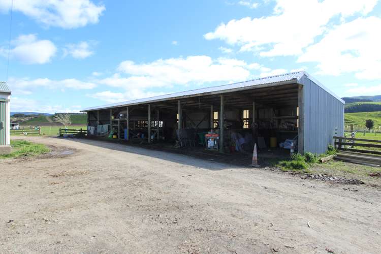 579 Kopikopiko Road Eketahuna_8