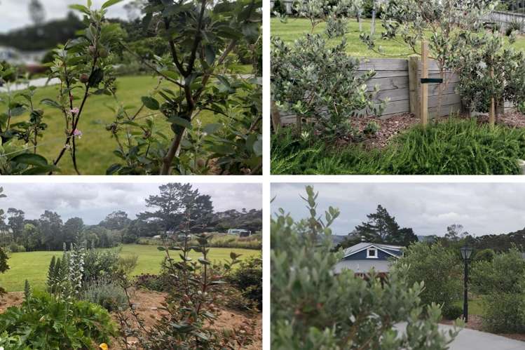 176 Wishart Road Helensville_16