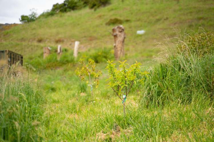 41 Lighthouse Road Akaroa_7