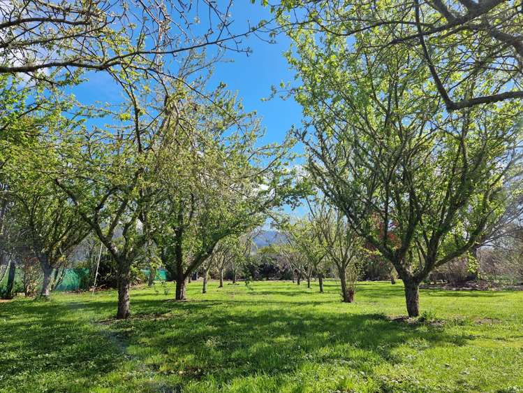 1163 Takaka Valley Highway Kahurangi National Park_27