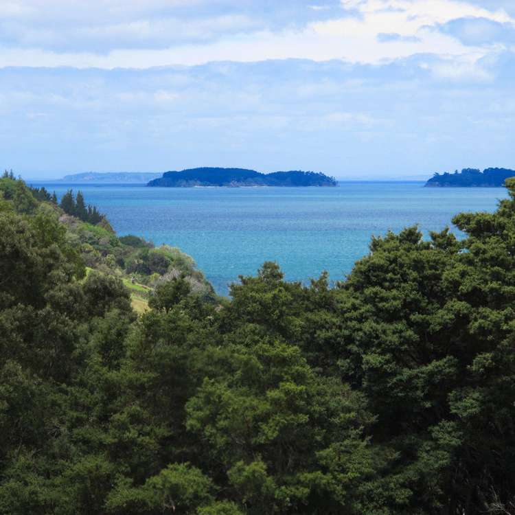 5 Kookaburra Drive Tawharanui Peninsula_14