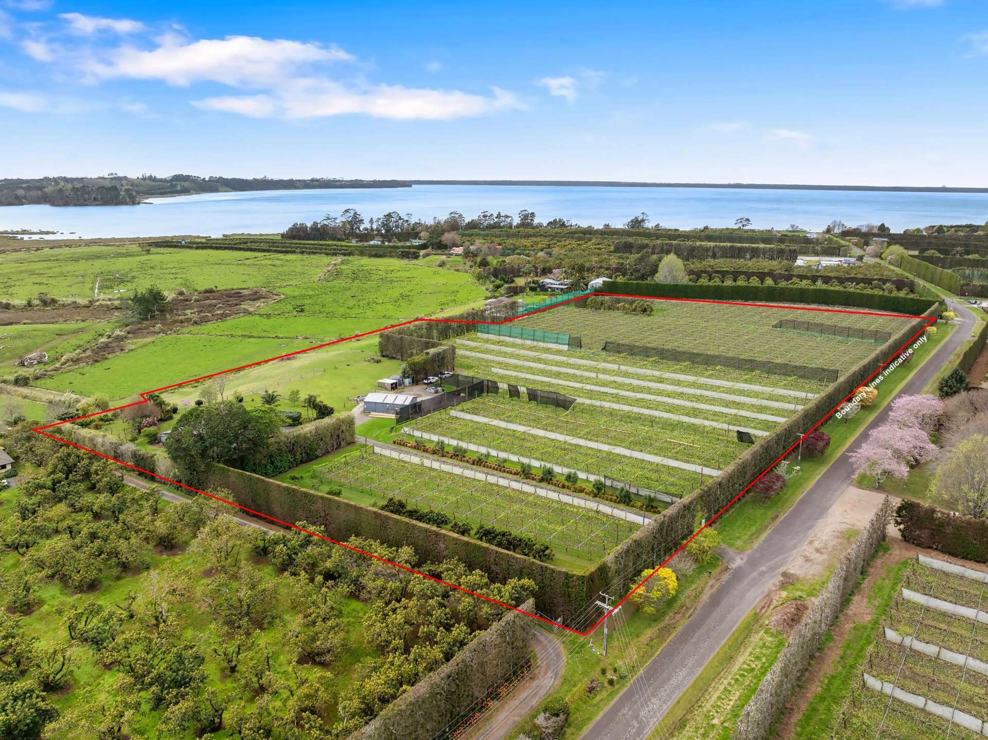 69 Pukakura Road Katikati_0