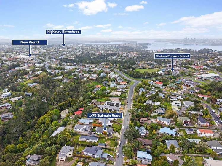 1/75 Balmain Road Birkenhead_6