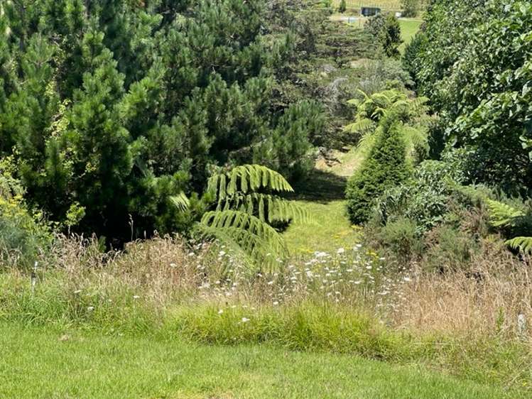 500 Reid Road Papamoa_24