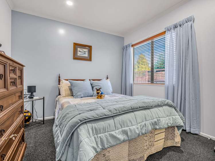 6 Mccahon Drive Pukehangi_10