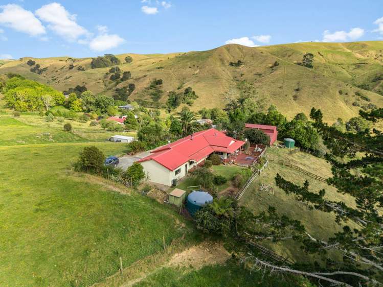 716b Tahuroa Road Morrinsville_24