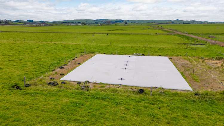 220 Valintine Road Gordonton_7