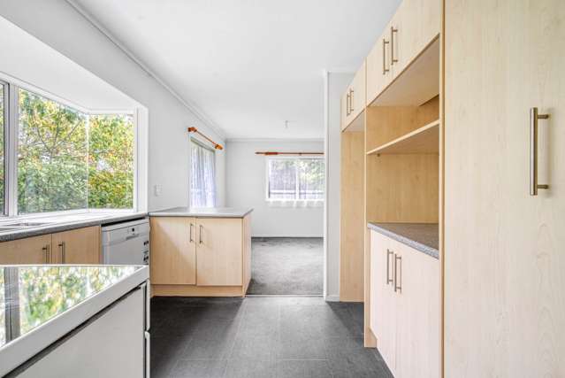 166B Hillside Road Papatoetoe_3