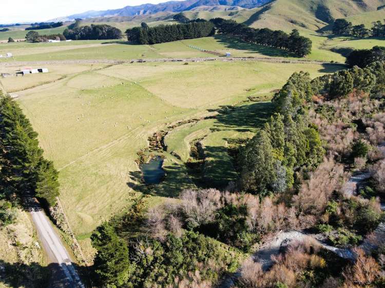 Lot 2/9 Tamaki East Road Dannevirke_11