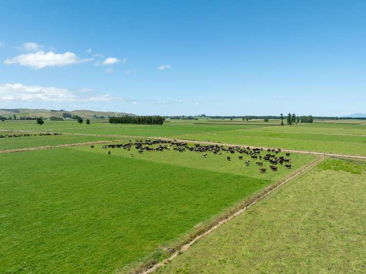 1969 State Highway 26 Morrinsville_9