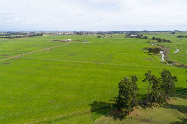 287 State Highway 1 Bulls_1