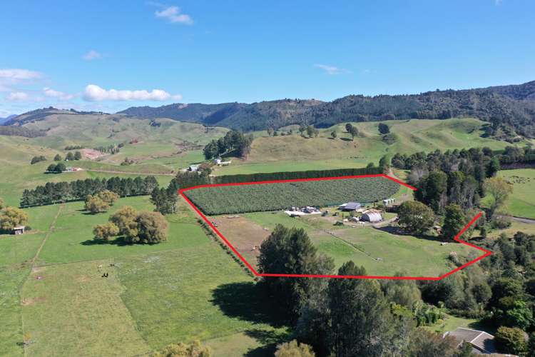 31 Mcivor Road Rotoma_0