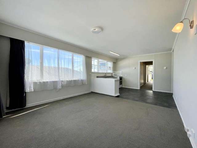 4 Beaconsfield Street Grey Lynn_2