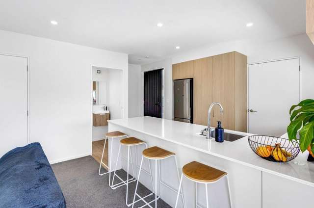 44C Bletsoe Avenue Spreydon_2