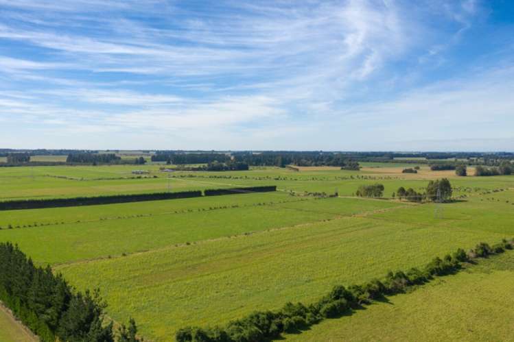 793 Peel Forest Road Mesopotamia_8