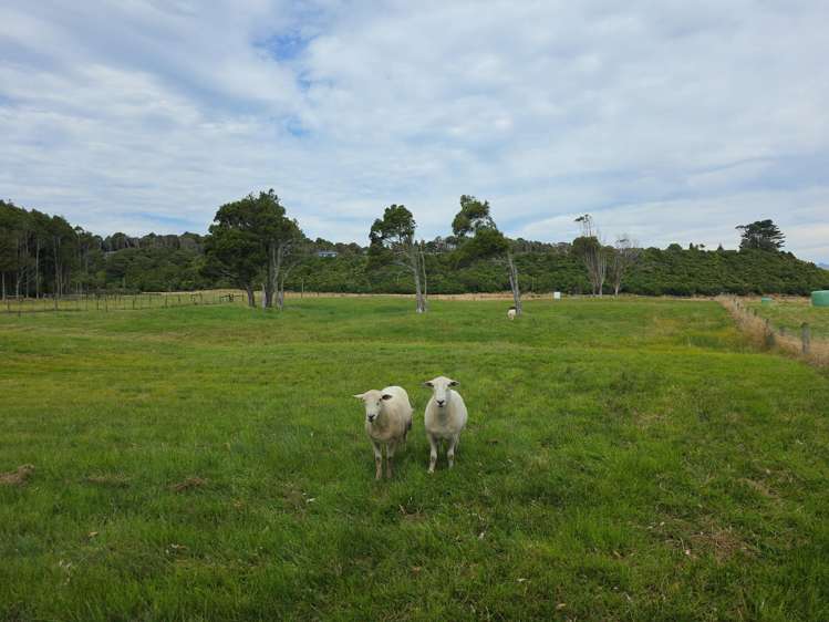 125 Golf Links Road_3