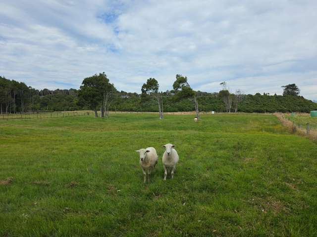 125 Golf Links Road Ruatapu_3