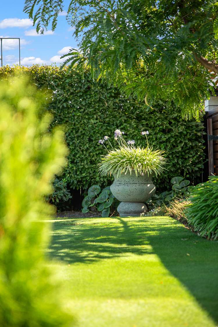 3 Solomon Place Witherlea_39