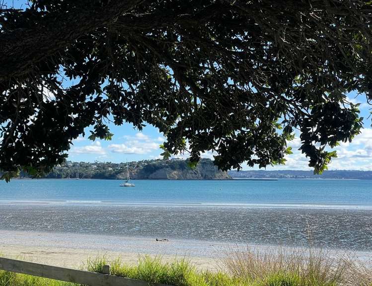 16A Laurence Street Manly_16