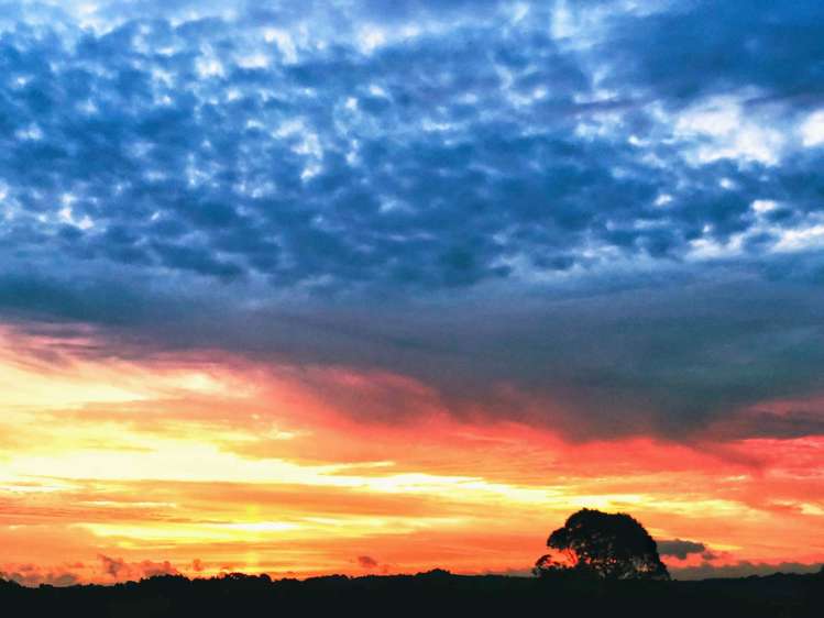 324 Trig Road Whitford_55