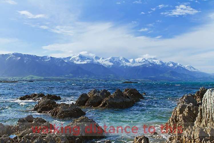 43a Avoca Street Kaikoura_15