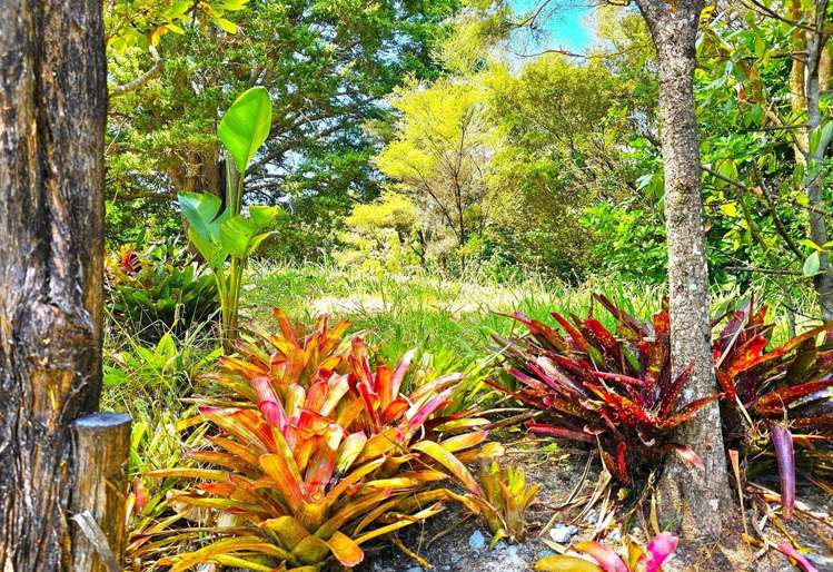 Lot 3 Rakautapu Road Kohukohu_11