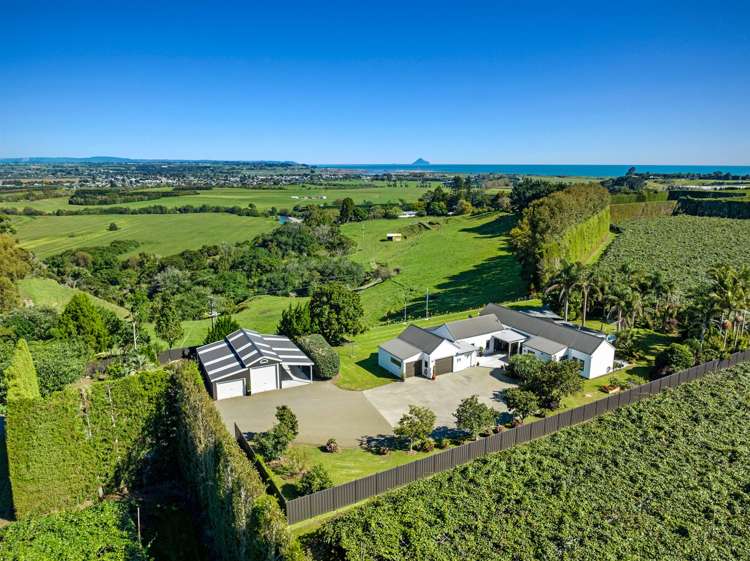 304 Tablelands Road Opotiki_4