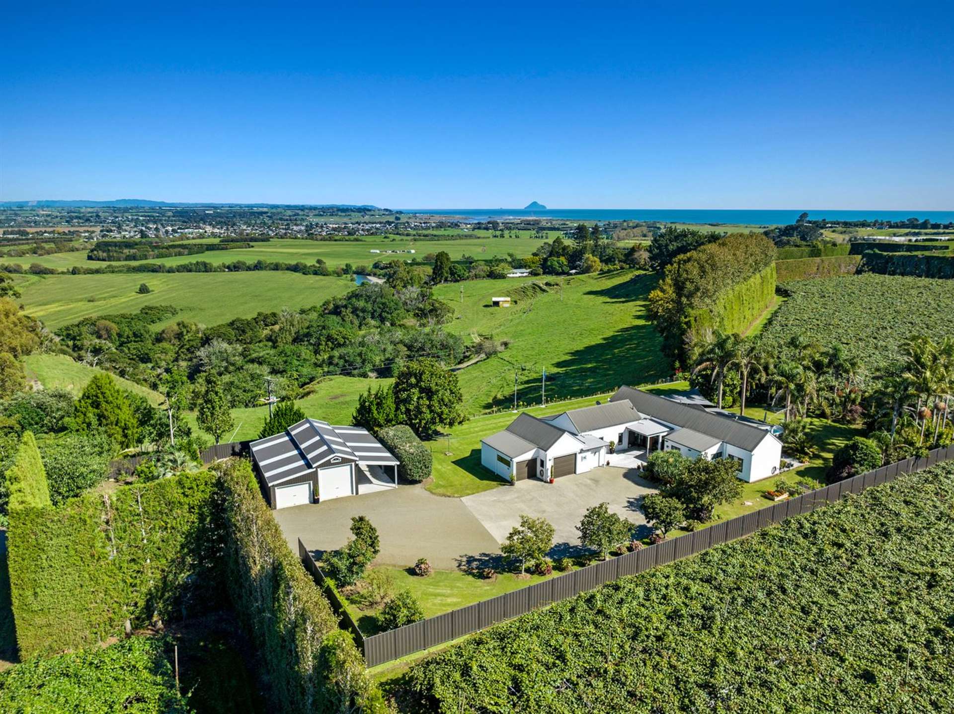 304 Tablelands Road Opotiki Coastal_0