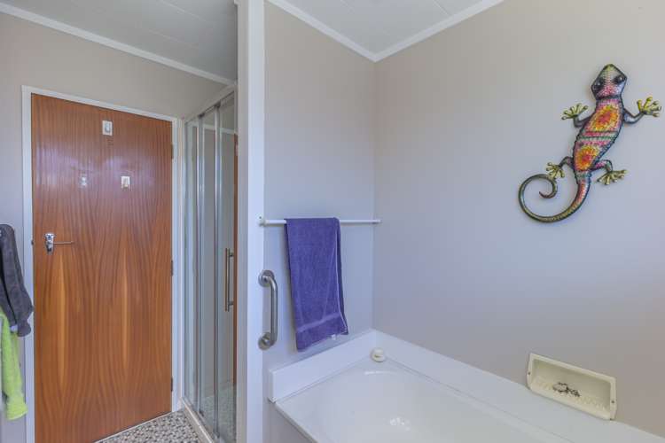 173 Tiro Tiro Road Levin_8
