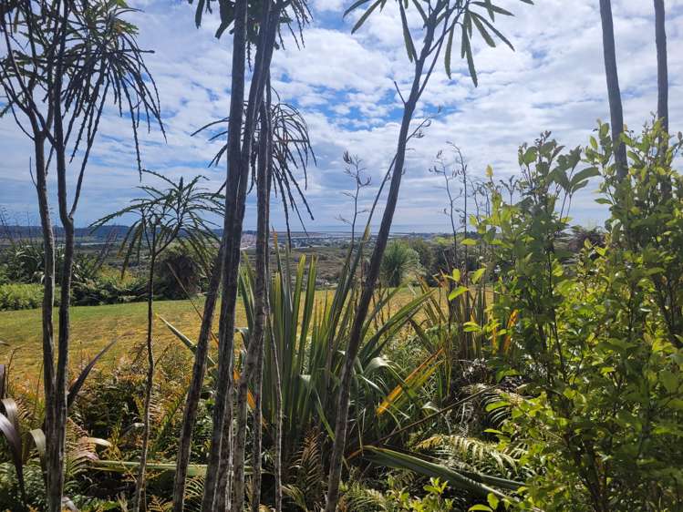 127 Brickfield Road Hokitika_48