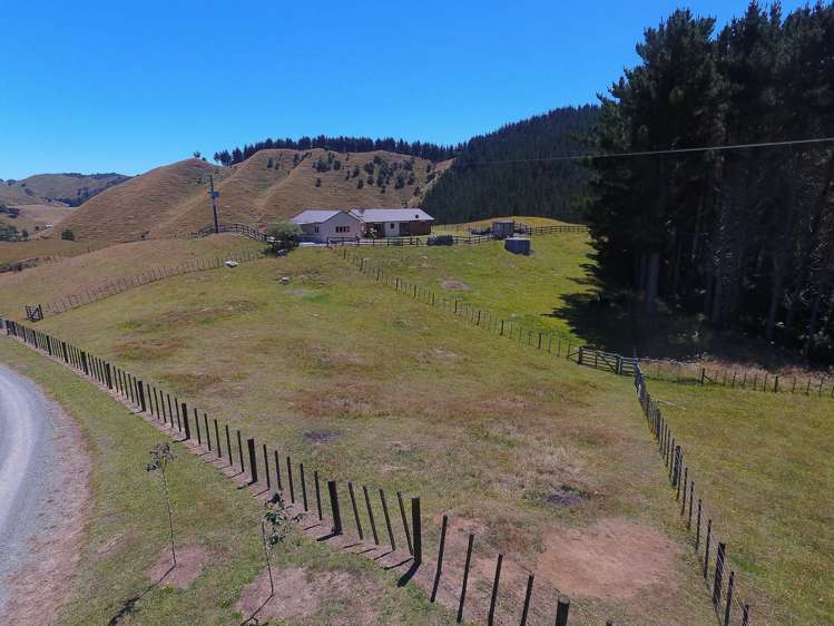 1543a Waingaro Road Glen Massey_17