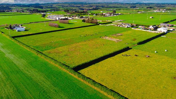 253 Tawhiti Road Hawera_14