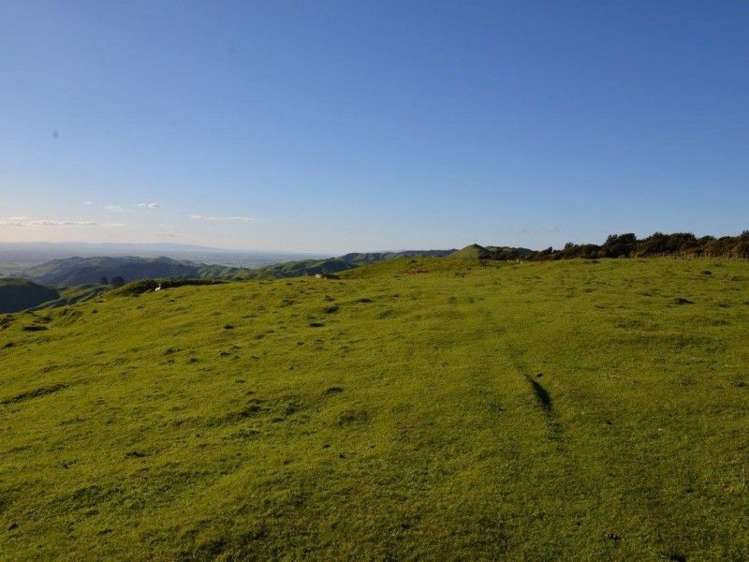 153 Hill Road Te Aroha_14