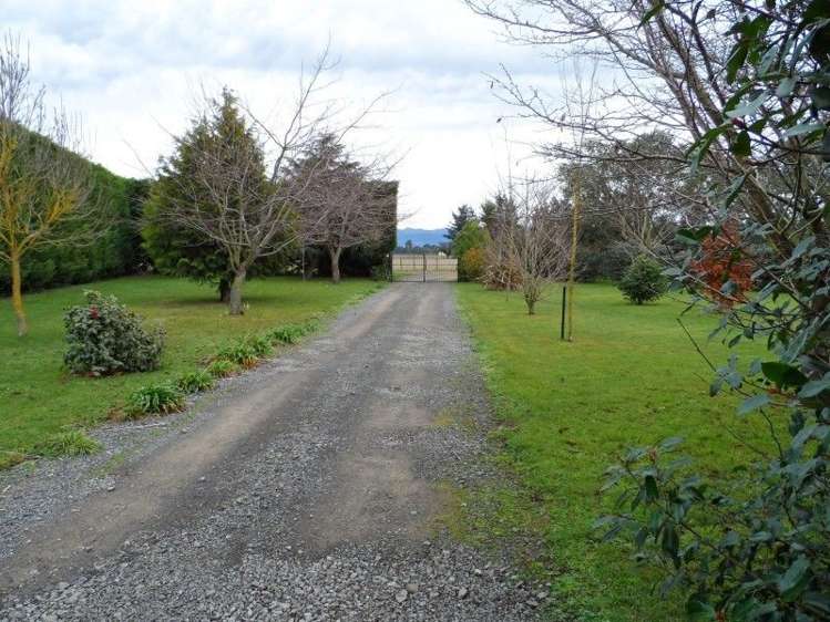 79 Charlotte Street Takapau_6