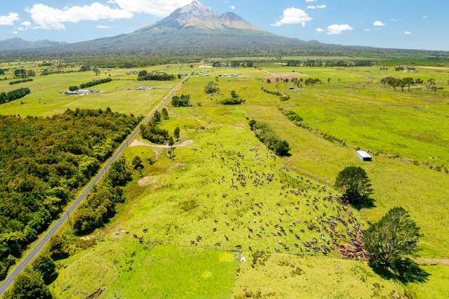 845 Kaweora Road Te Kiri_4