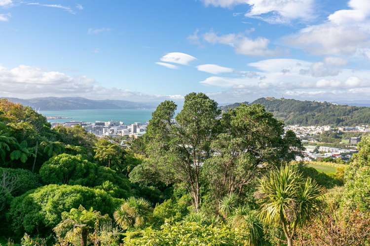 18 Dorking Road Brooklyn_10