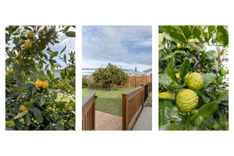 33 Chadwick Road Greerton_21