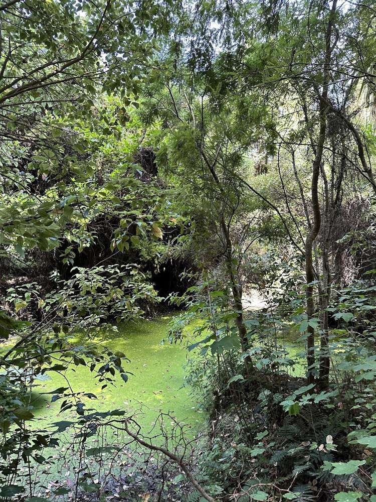 13 Okuti Valley Road Little River_13