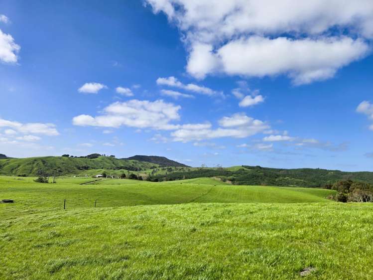 213 Lindquist Road Ararua_24