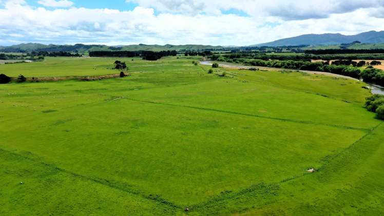 253 Oringi Road Dannevirke_11